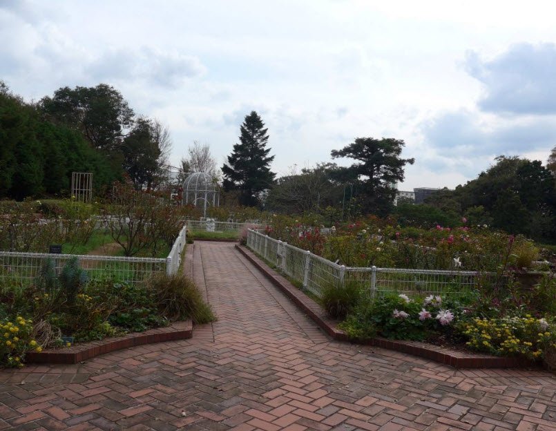 Yokohama City Children's Botanical Garden, Japan